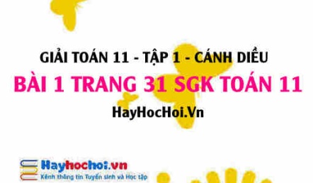 Giải bài 1 trang 31 Toán 11 tập 1 SGK Cánh Diều